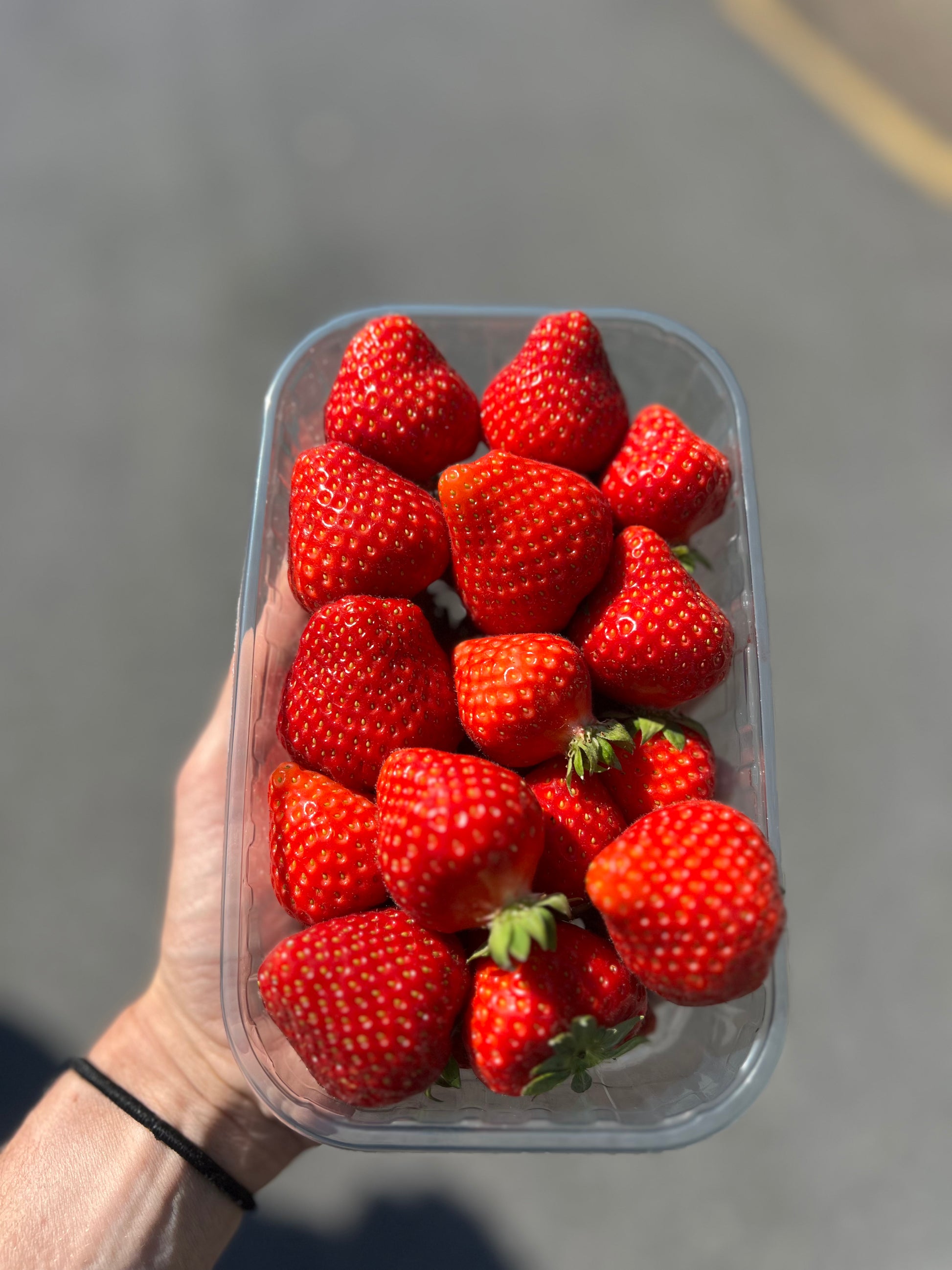 Les Fraises Fraîches "Magnum" Premium, Bio (500g)
