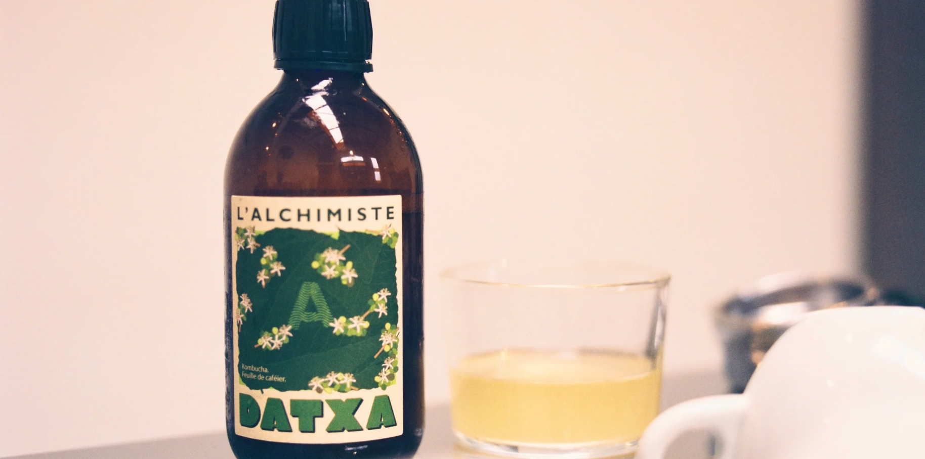 DATXA X ALCHEMIST Kombucha: ORGANIC COFFEE LEAF - LIMITED EDITION - 30CL - Pack of 12