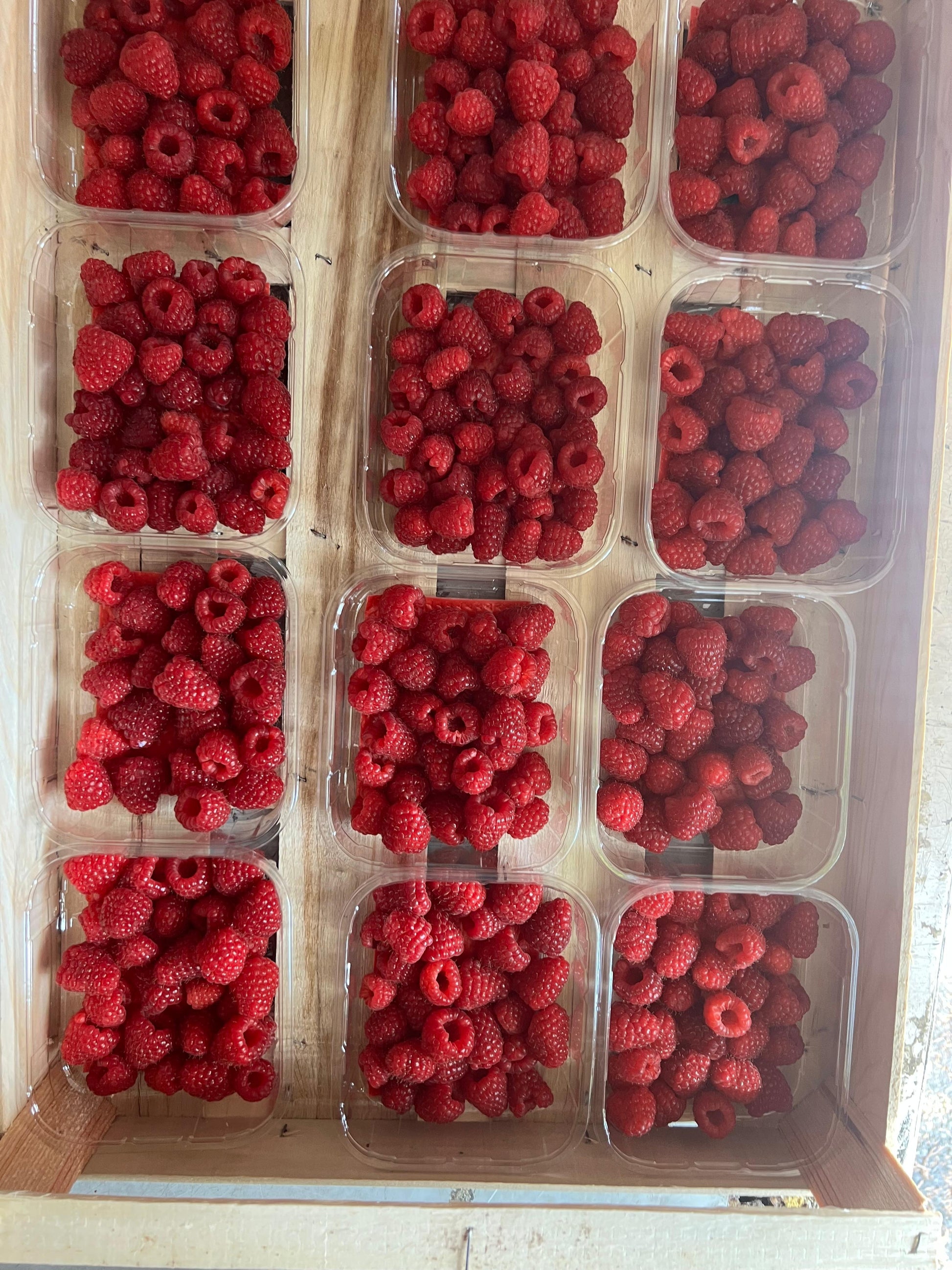 Les Framboises Fraîches "Magnum" Premium, Bio (125g)